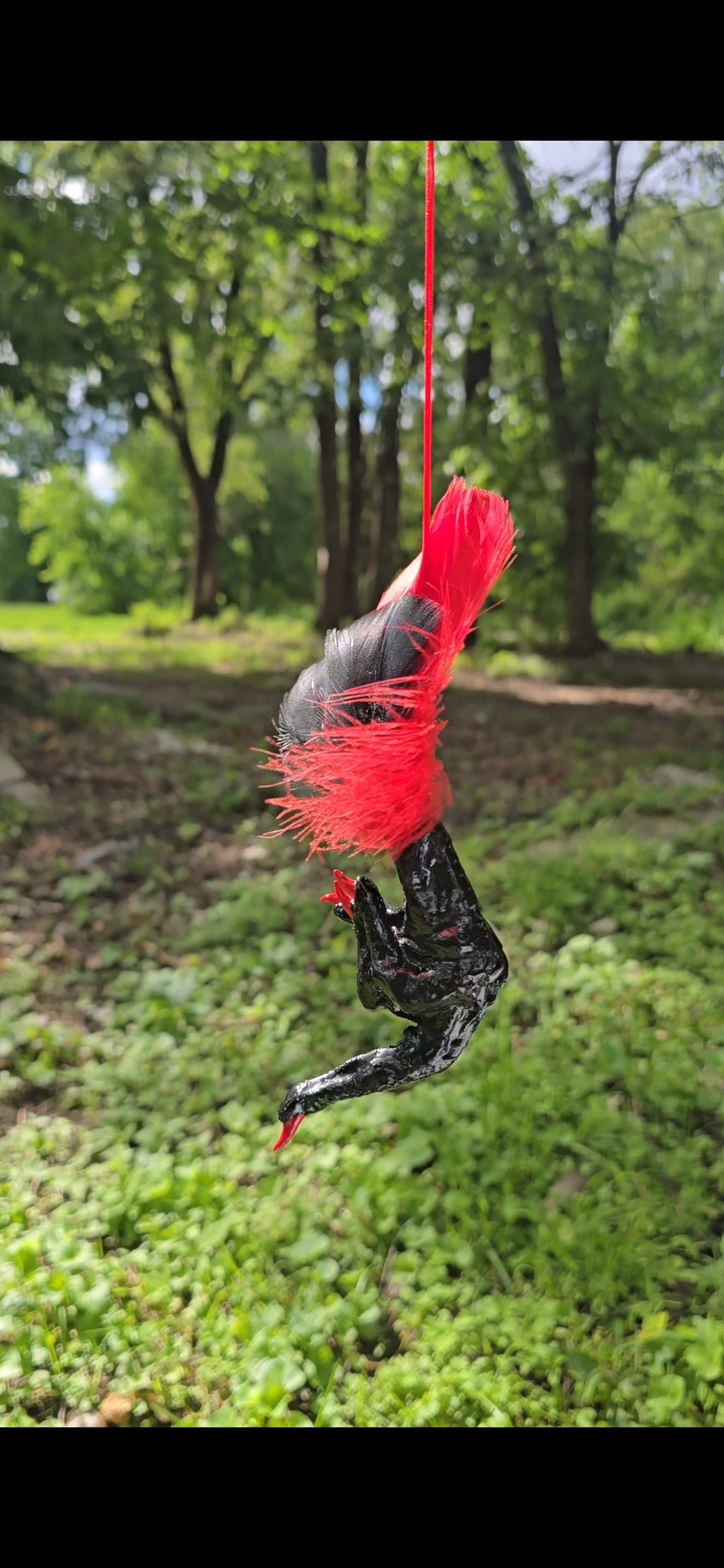 Black And Red Chicken Foot (middle finger)