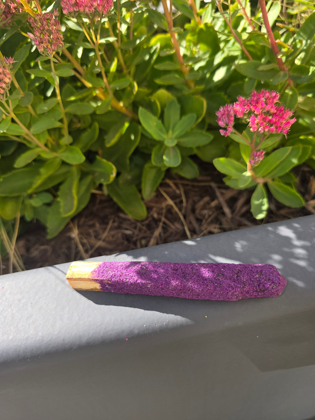 Lavender Dipped Palo Santo