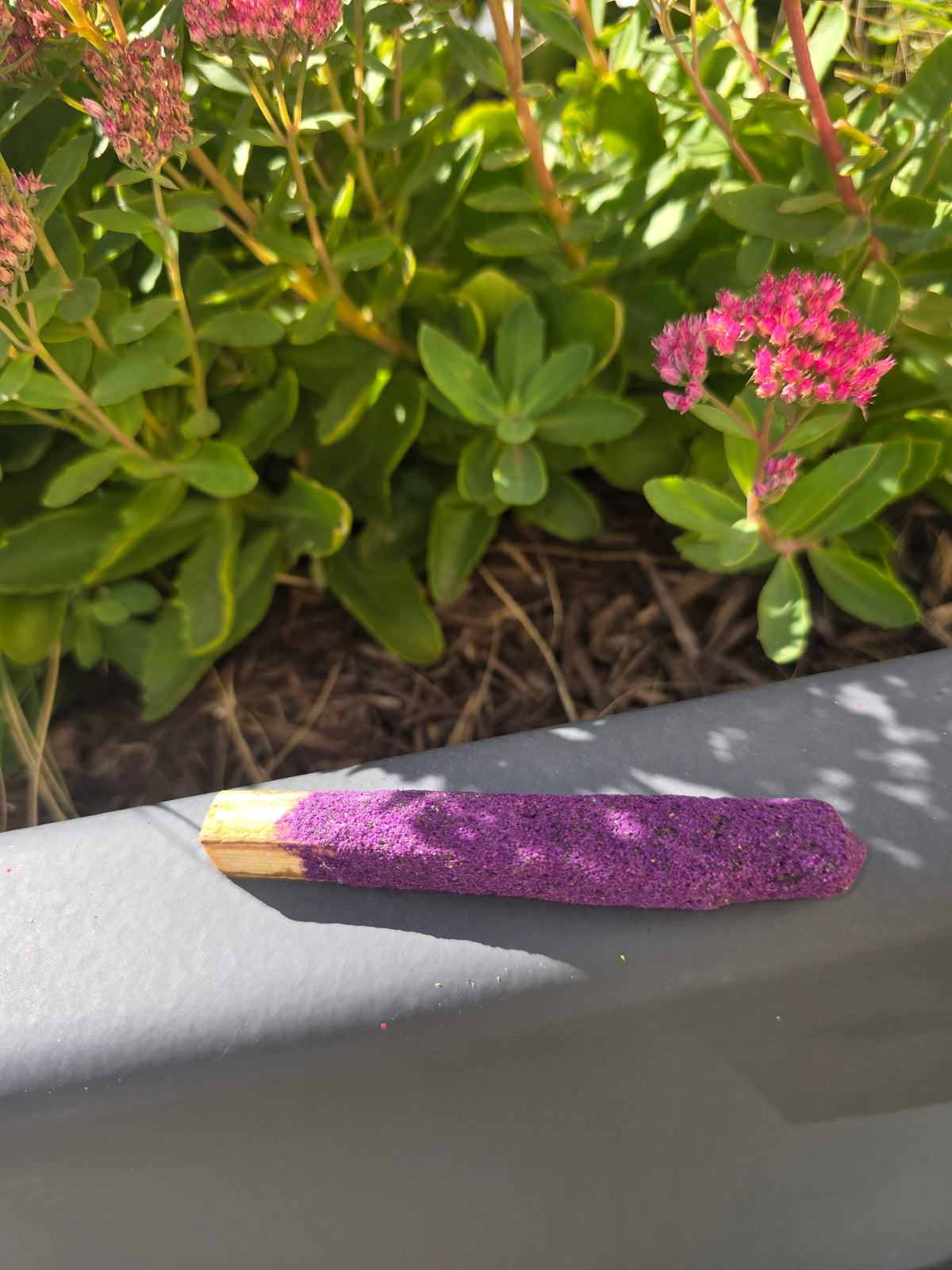 Lavender Dipped Palo Santo