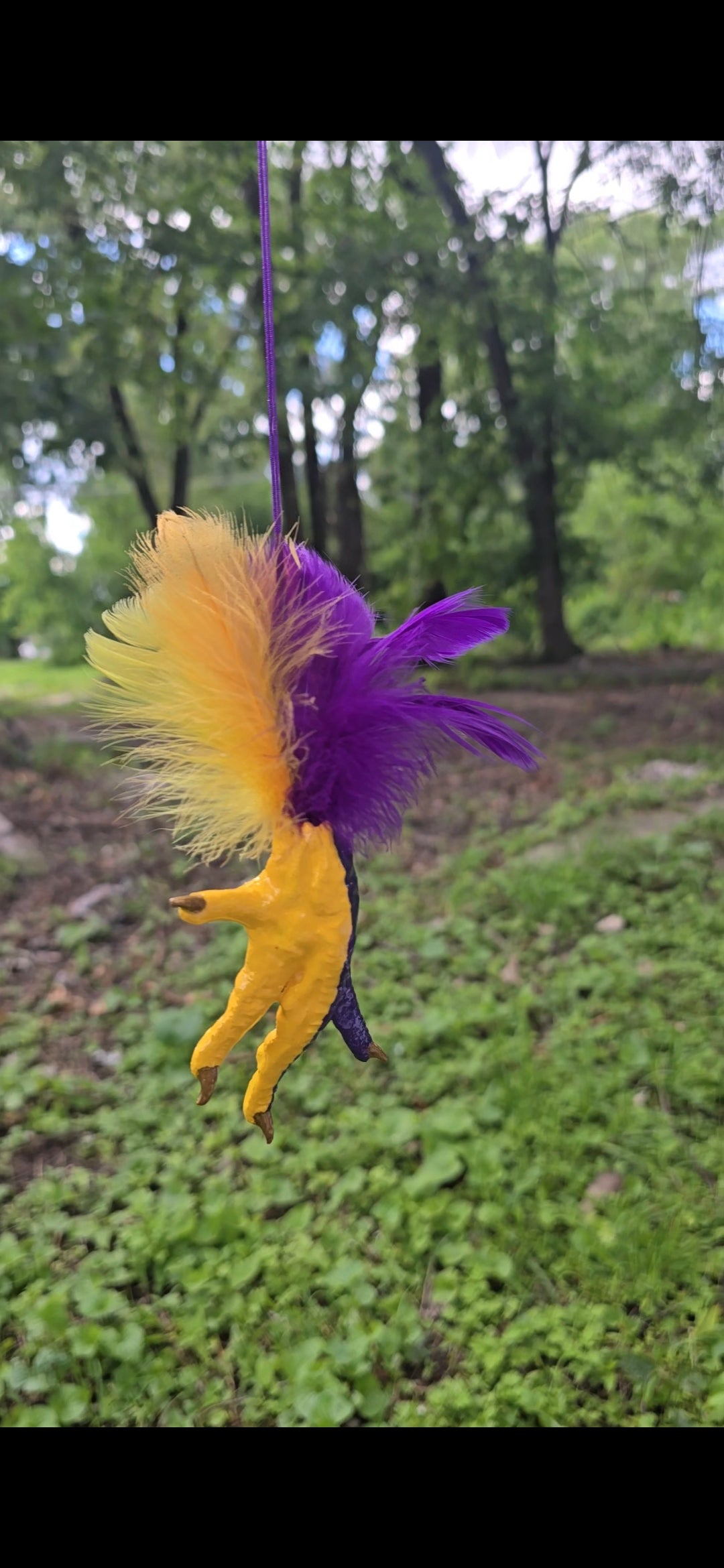 Mardi Gras Themed Chicken Foot Necklace (Yellow and Purple)