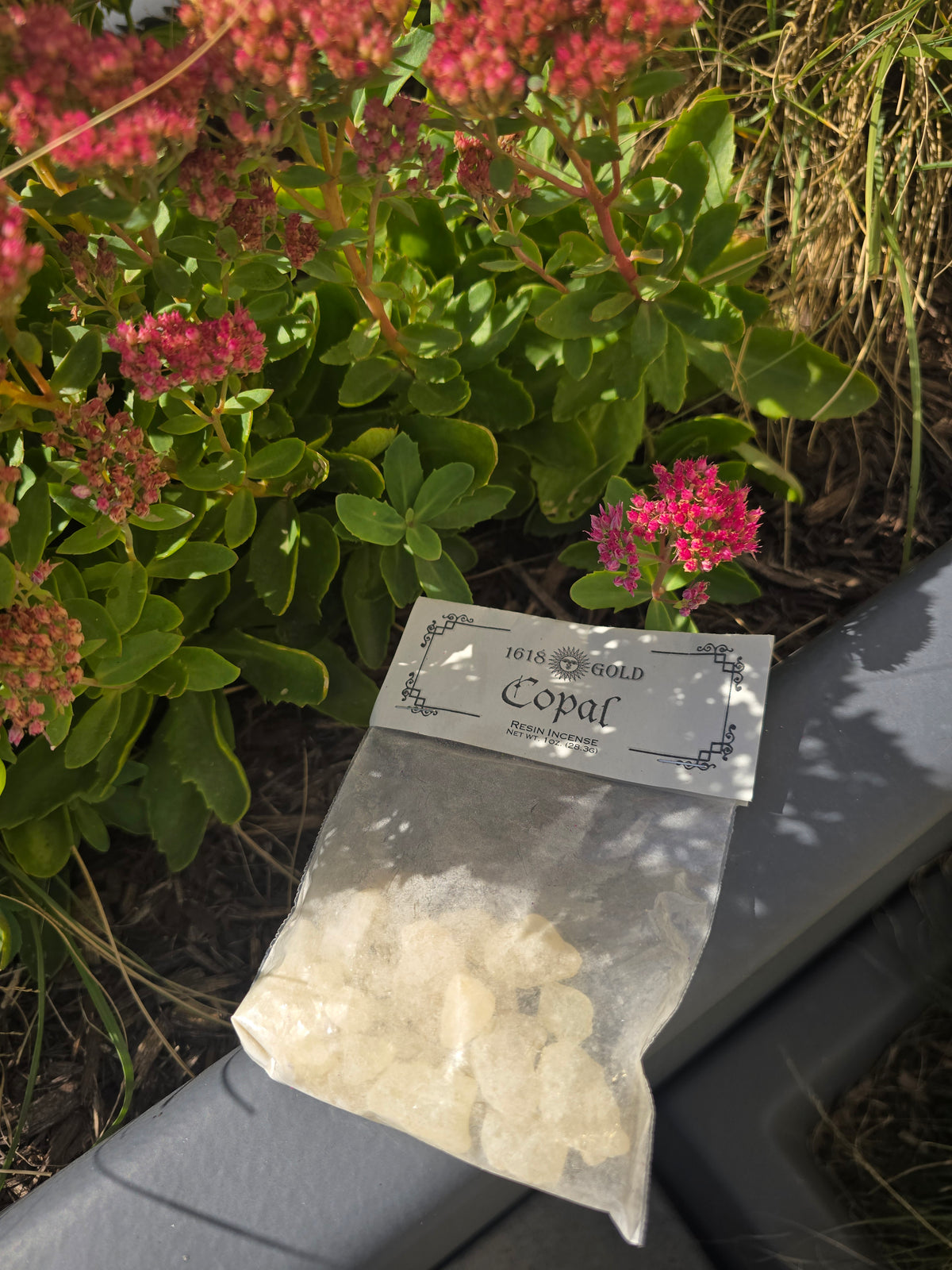Copal Oro Resin